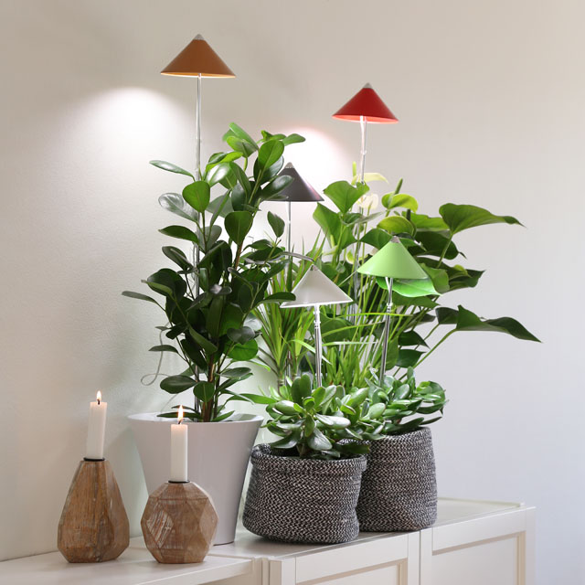 Sunlite Växtlampor med underhållsljus