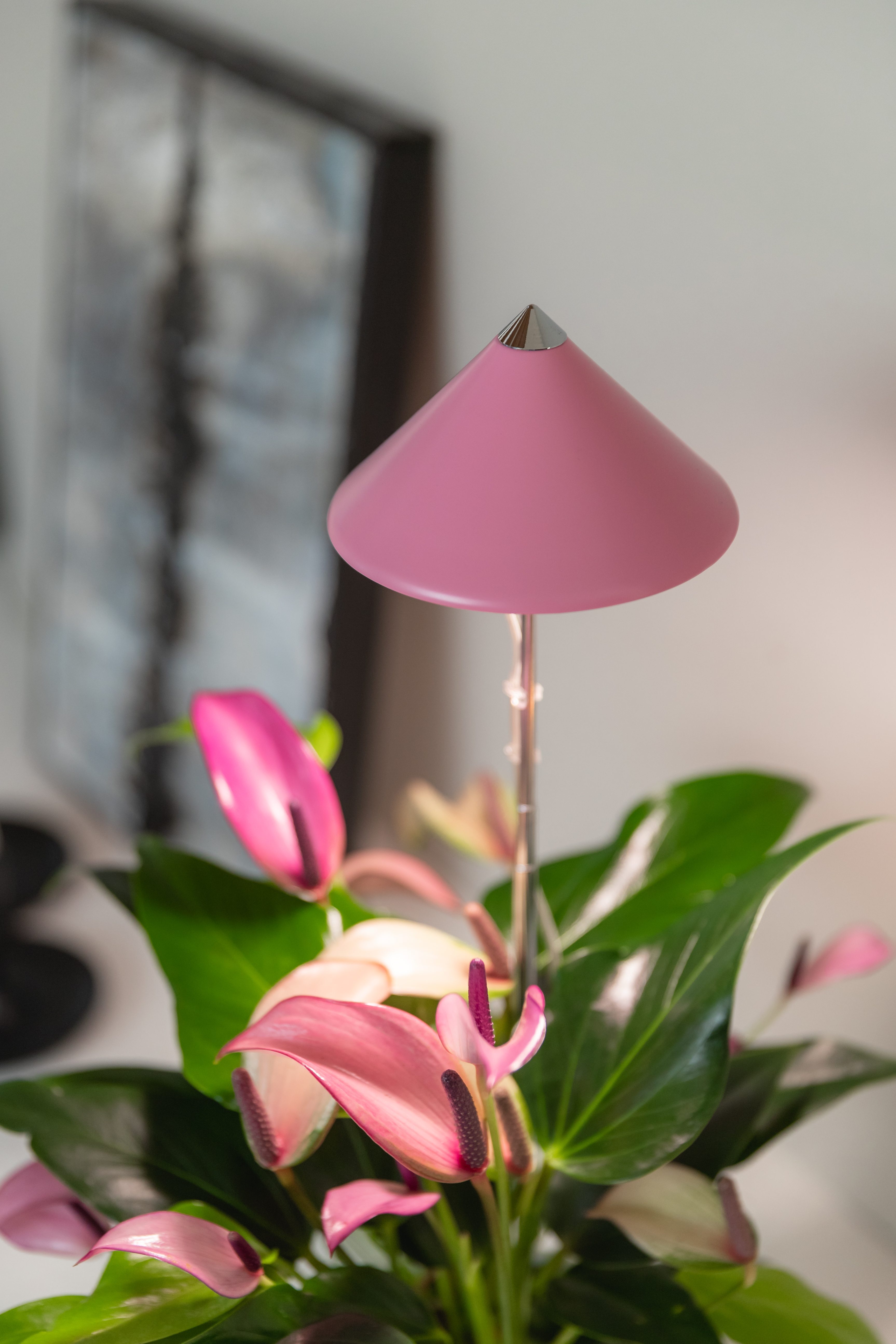 Växtbelysning Sunlite Wilma