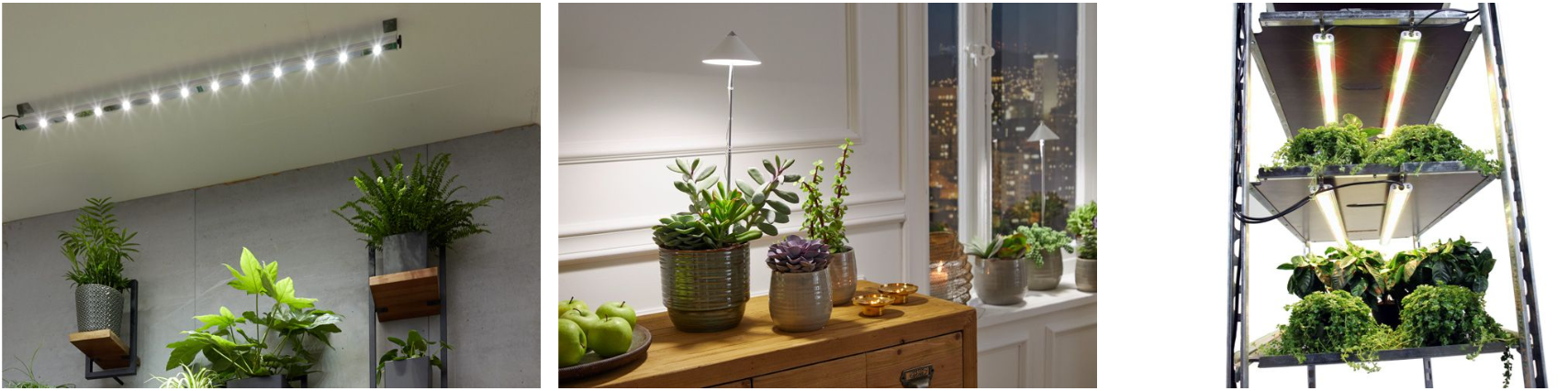 LED Växtbelysning for odling