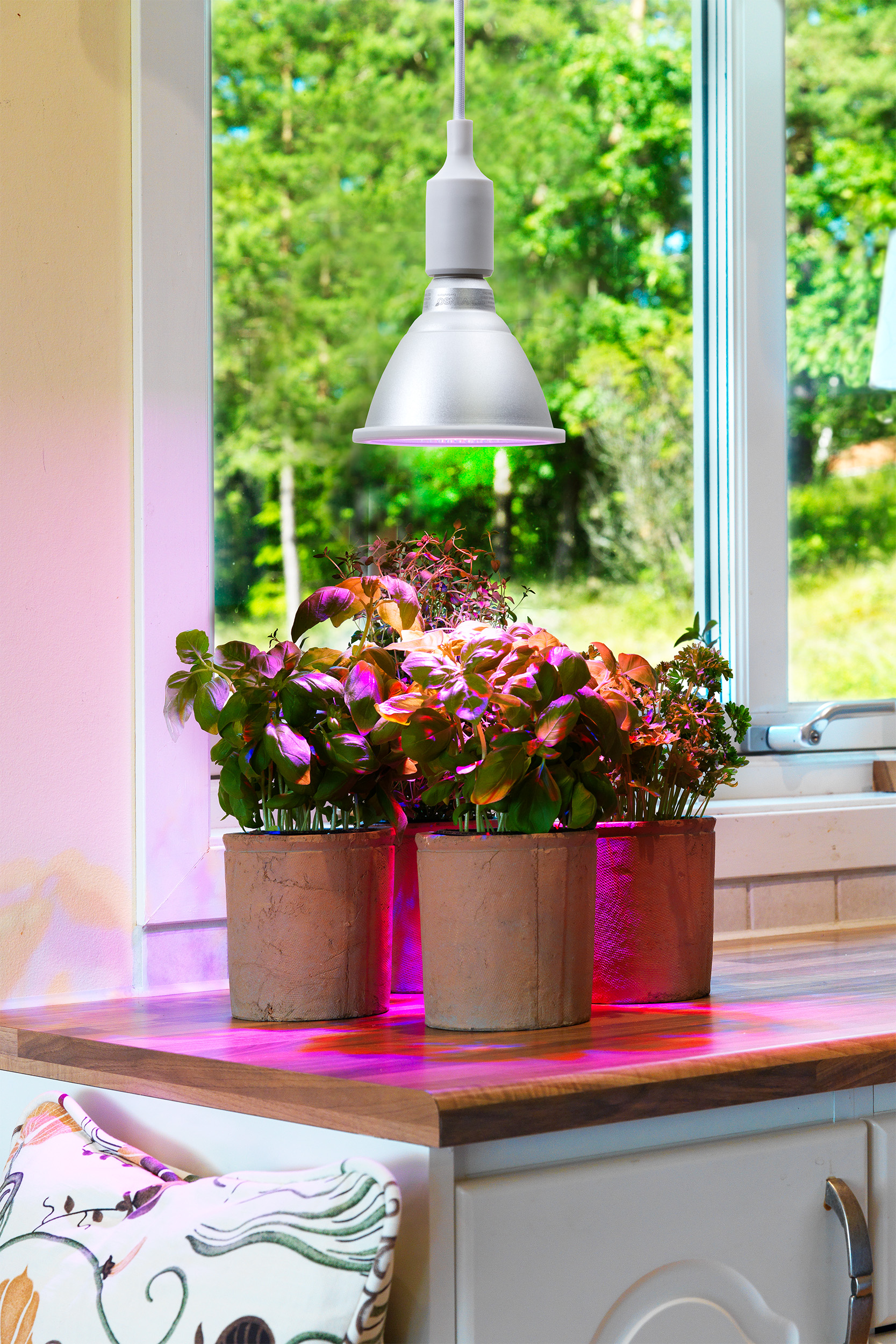 Växtbelysning Grow Light Cultura