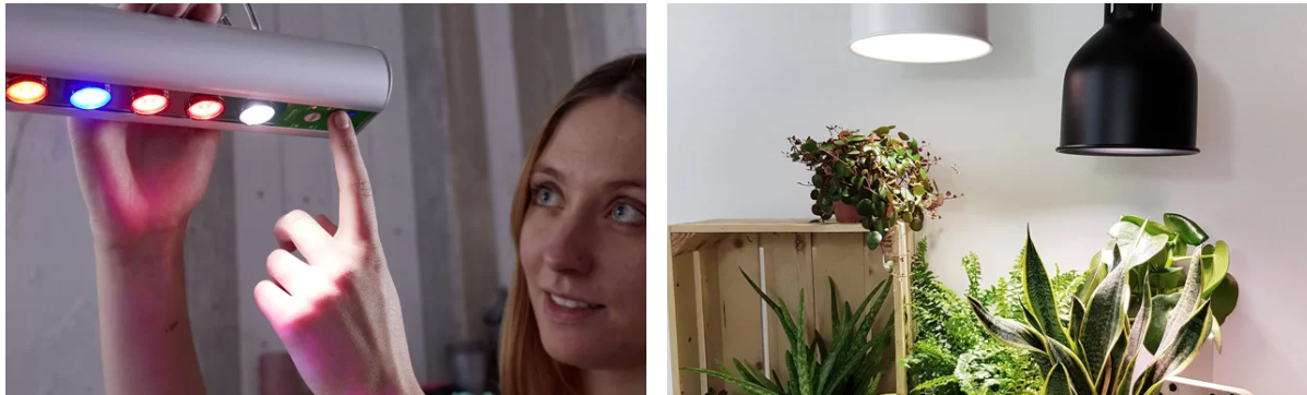 LED växtbelysning