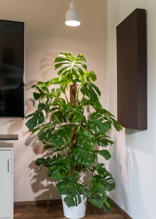 Växtlampa Indoot Plant