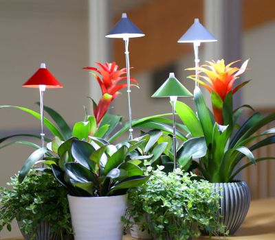 Sunlite Växtlampa